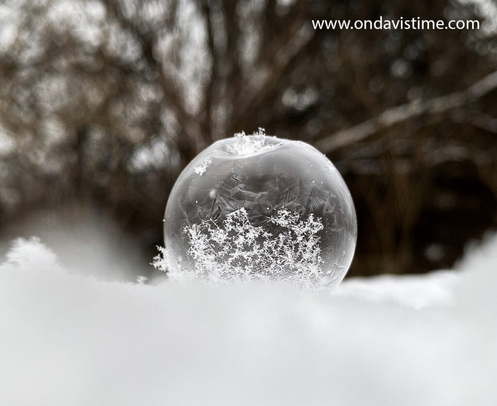Favorite Photos of 2021 - February Frozen Bubble