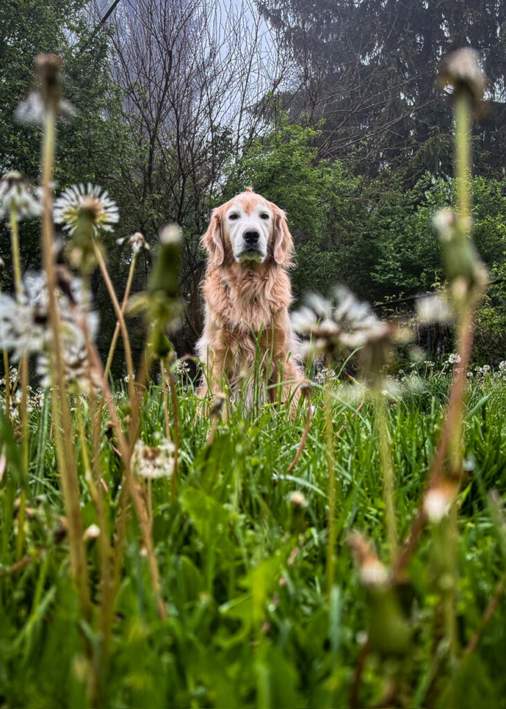 Change your viewpoint or angle - put your camera lens at the bottom of your frame