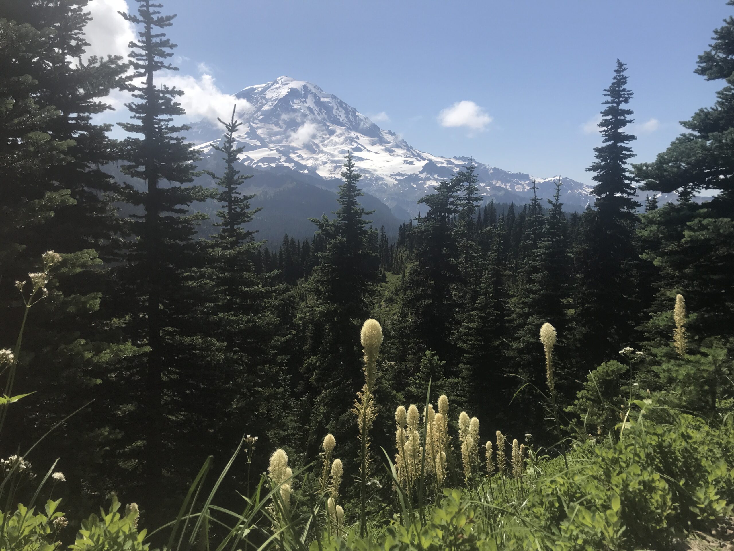 Tolmie Peak trail view