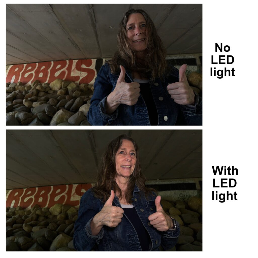 Don’t have enough light for your subject? Use artificial light