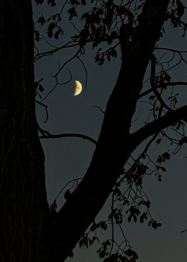 One Tip at a Time Tip 11 - How to Take Moon Pics with IPhone