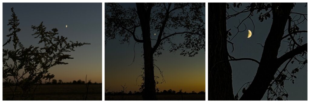 Moon pics with iPhone 1. Failure, 2. With adjustments, 3. Adjustment version zoomed in and cropped.