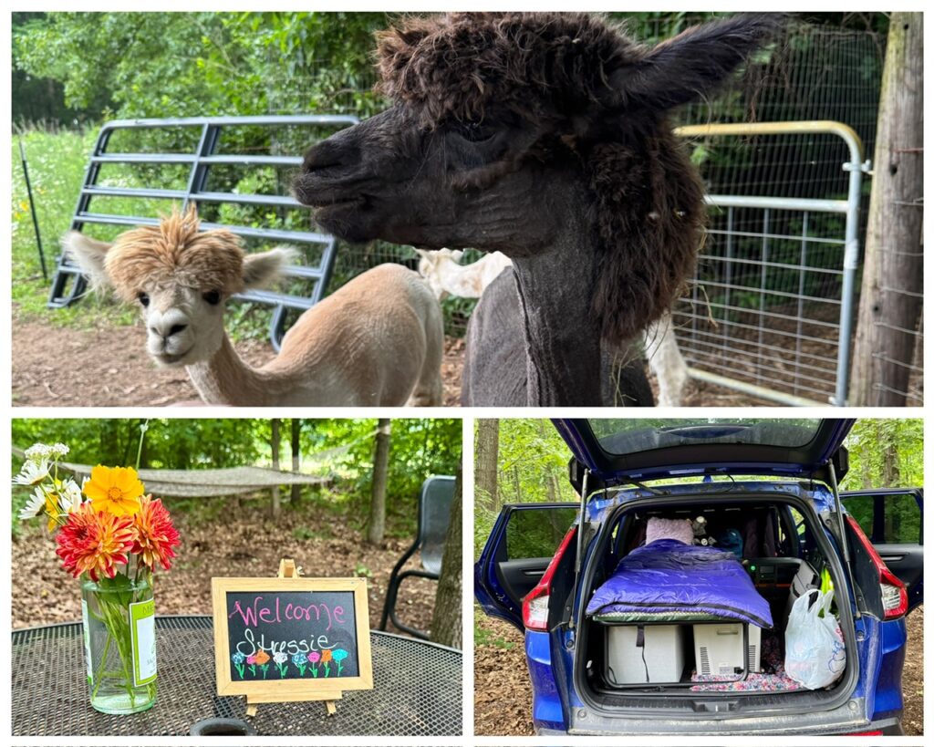 On a solo trip to find my true self