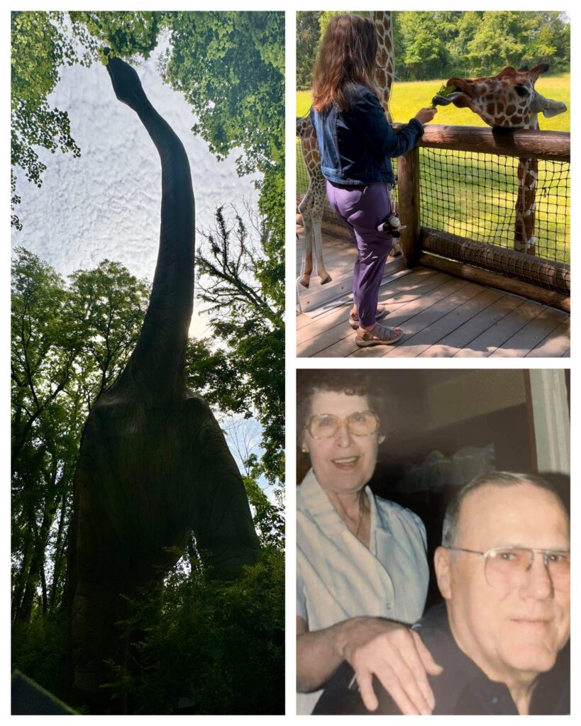 Binder Park Zoo - on a solo trip to find my true self