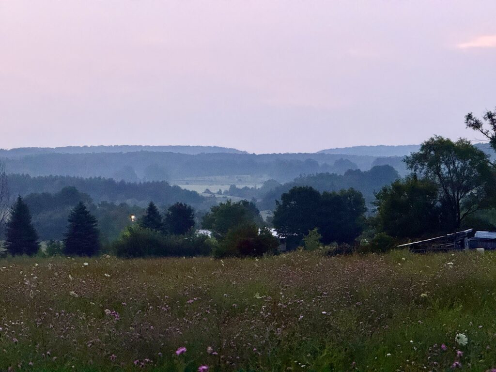 Solo AF in Northern MI: Bears, Hillbillies and the Tunnel of Trees