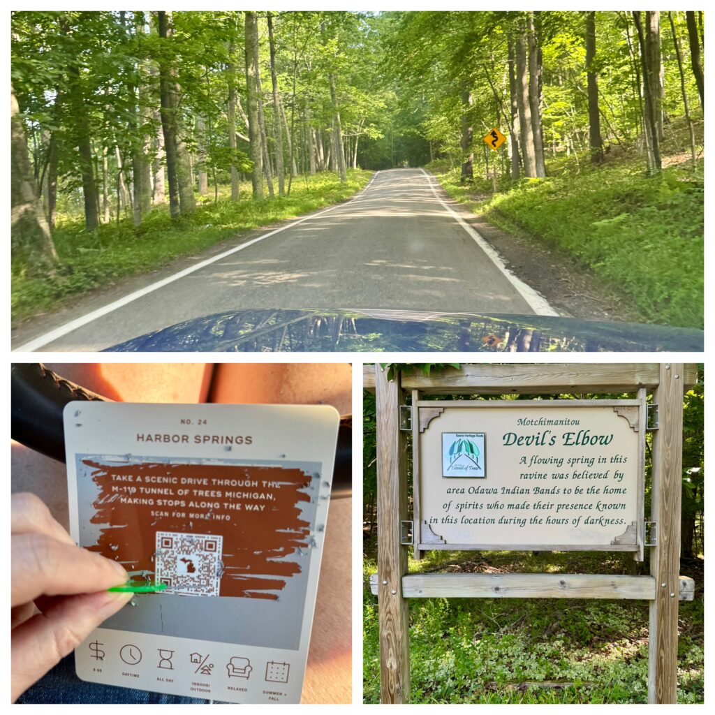 Tunnel of Trees in Harbor Spings MI