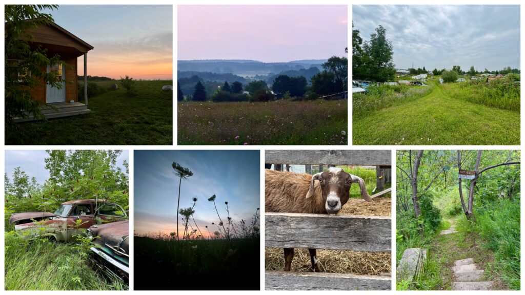 Paul’s Landing Cabin