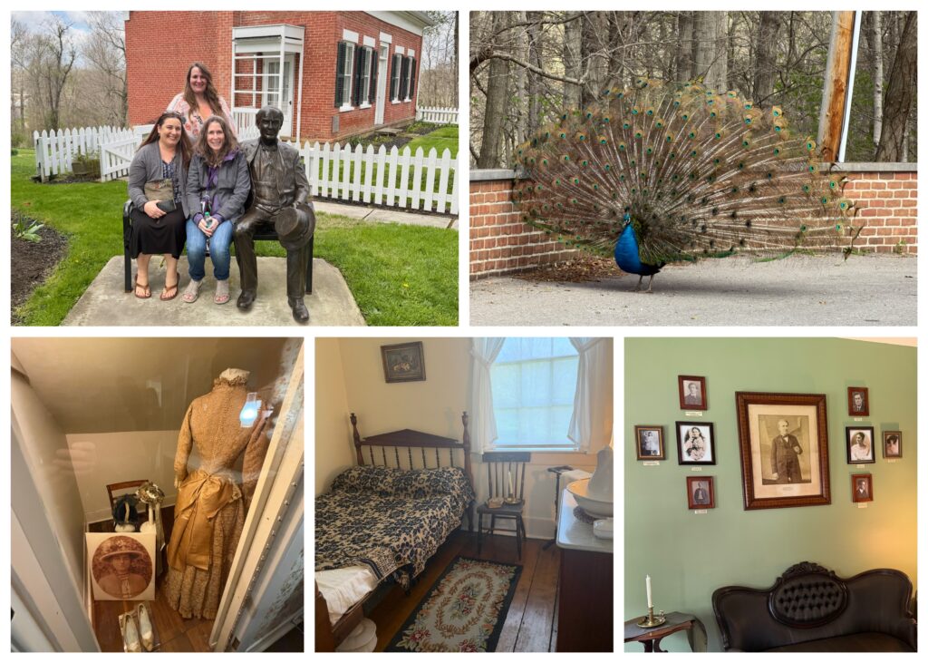 From Museums to making a Peacock friend.