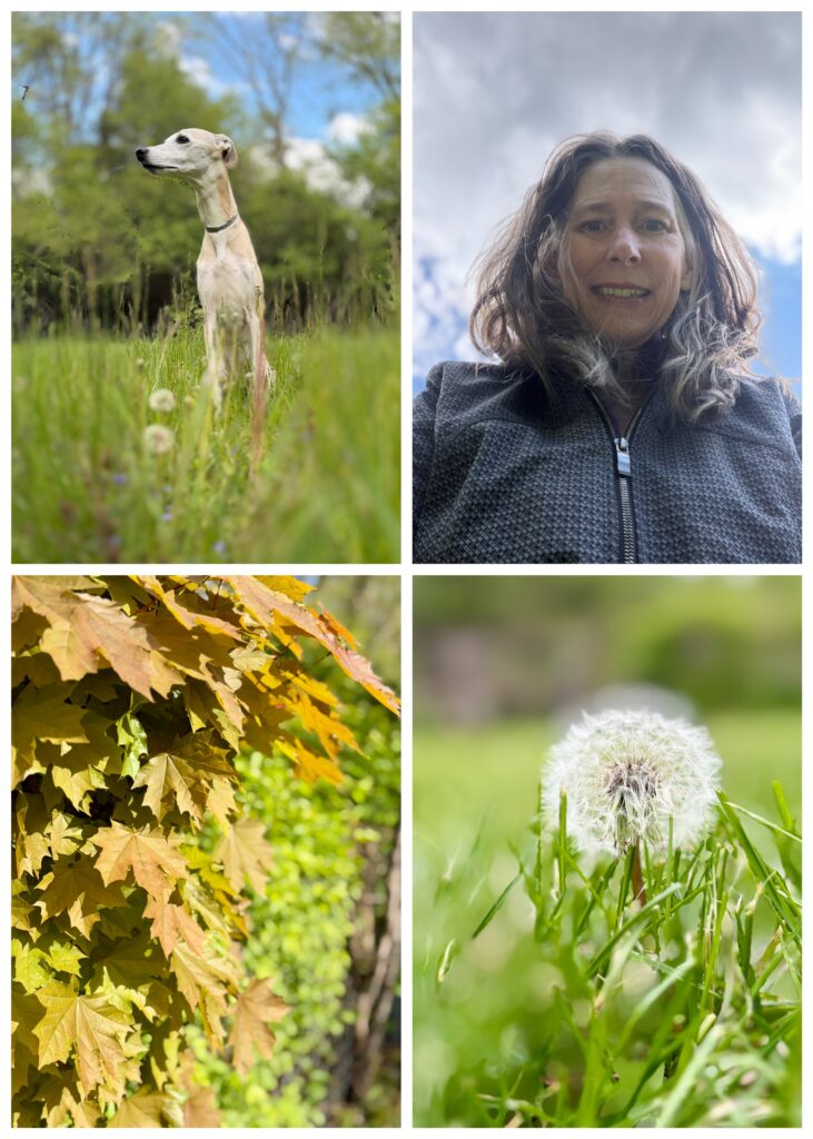 Using Portrait mode for everything - from me, to Maizie, to trees and other stuff.