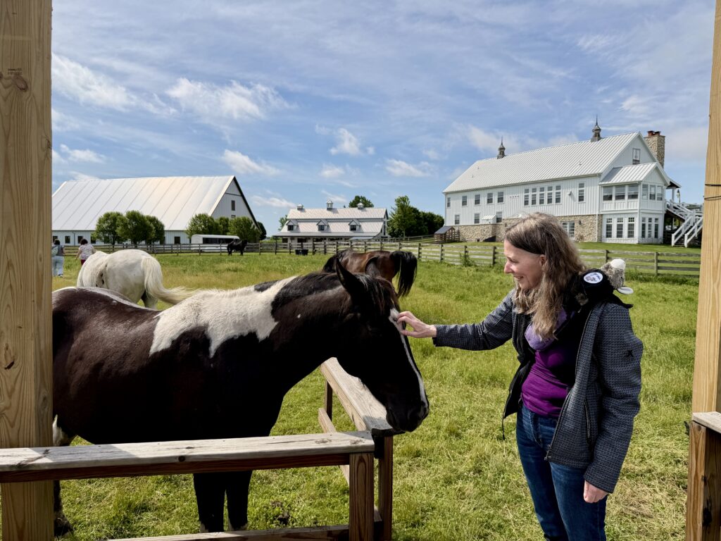 Midwest Travel Network Conference: Bloggers, Horses, Groundhogs, and Headwear Suggestions