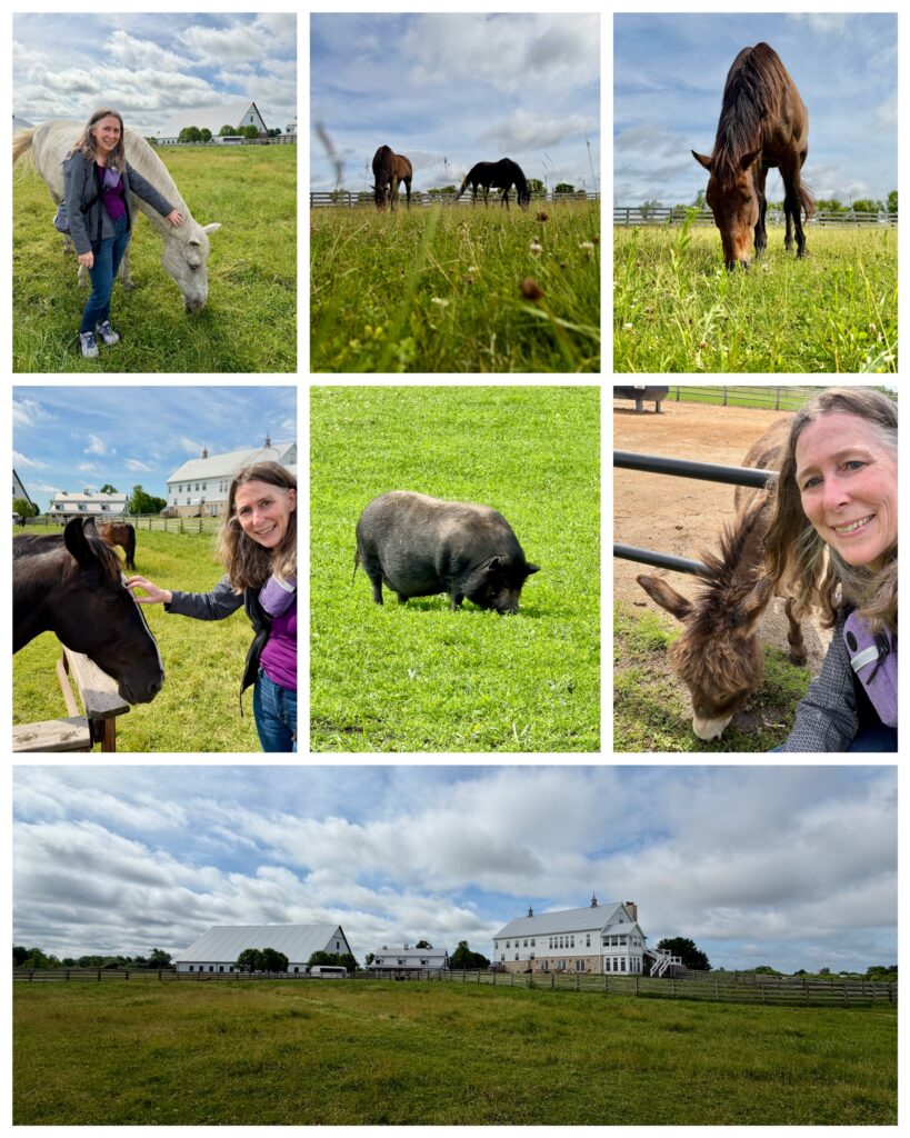 Soulful Prairies - one of my favorite things