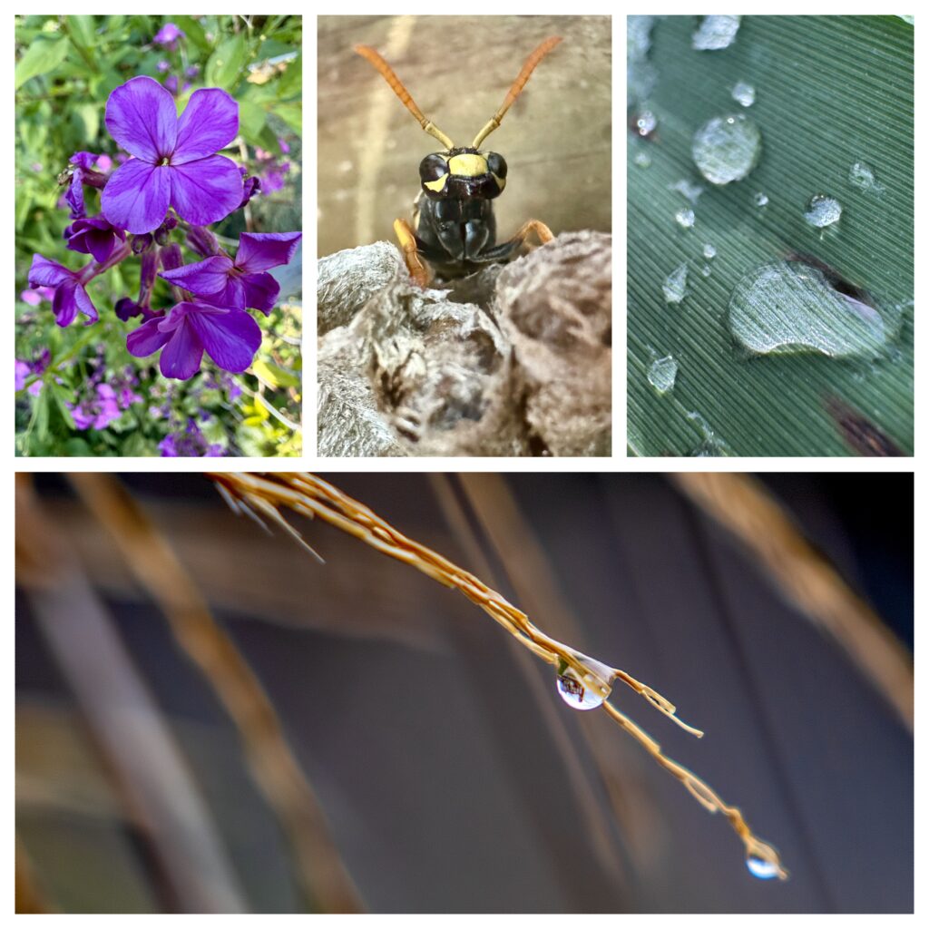 Examples of Macro Mode