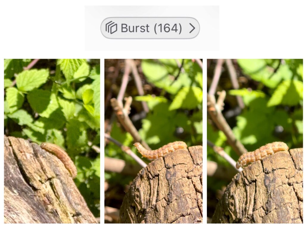 Using Burst Mode with Iphone