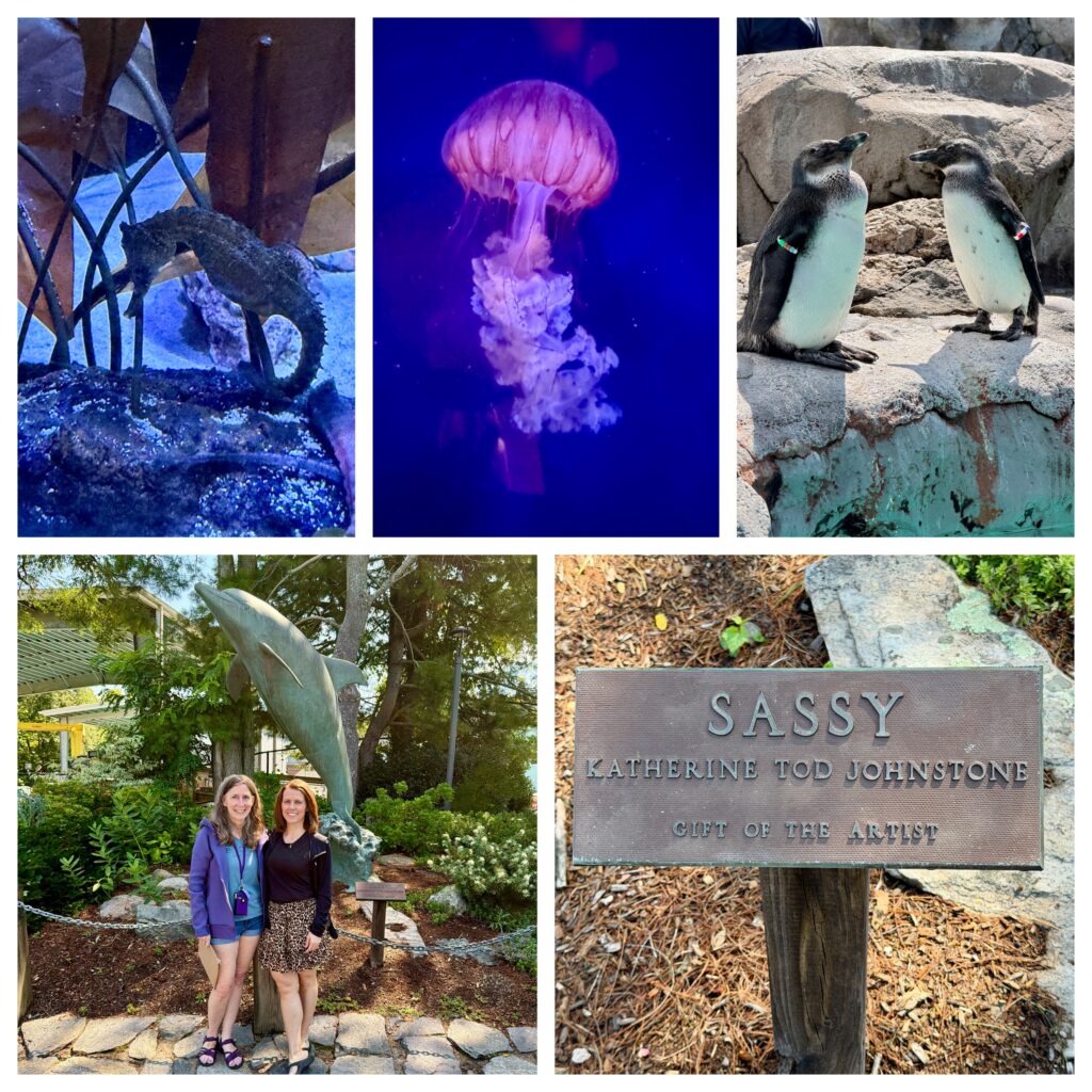 Mystic Aquarium