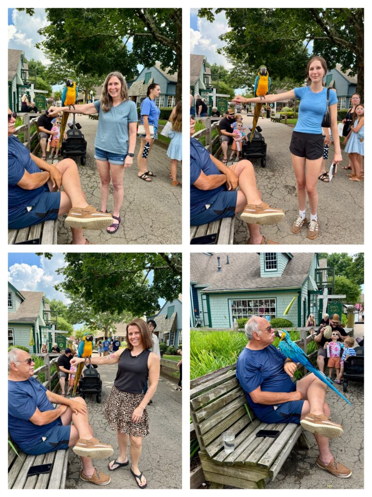 Meeting a kind Parrot