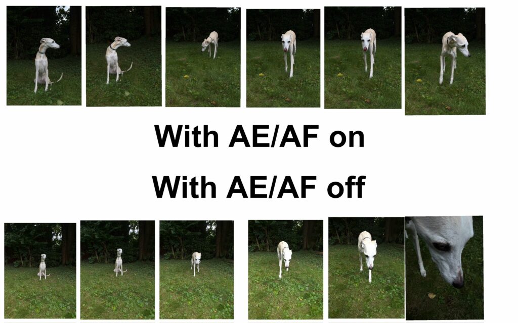 Sample Pics with AE/AF on and with AE/AF off